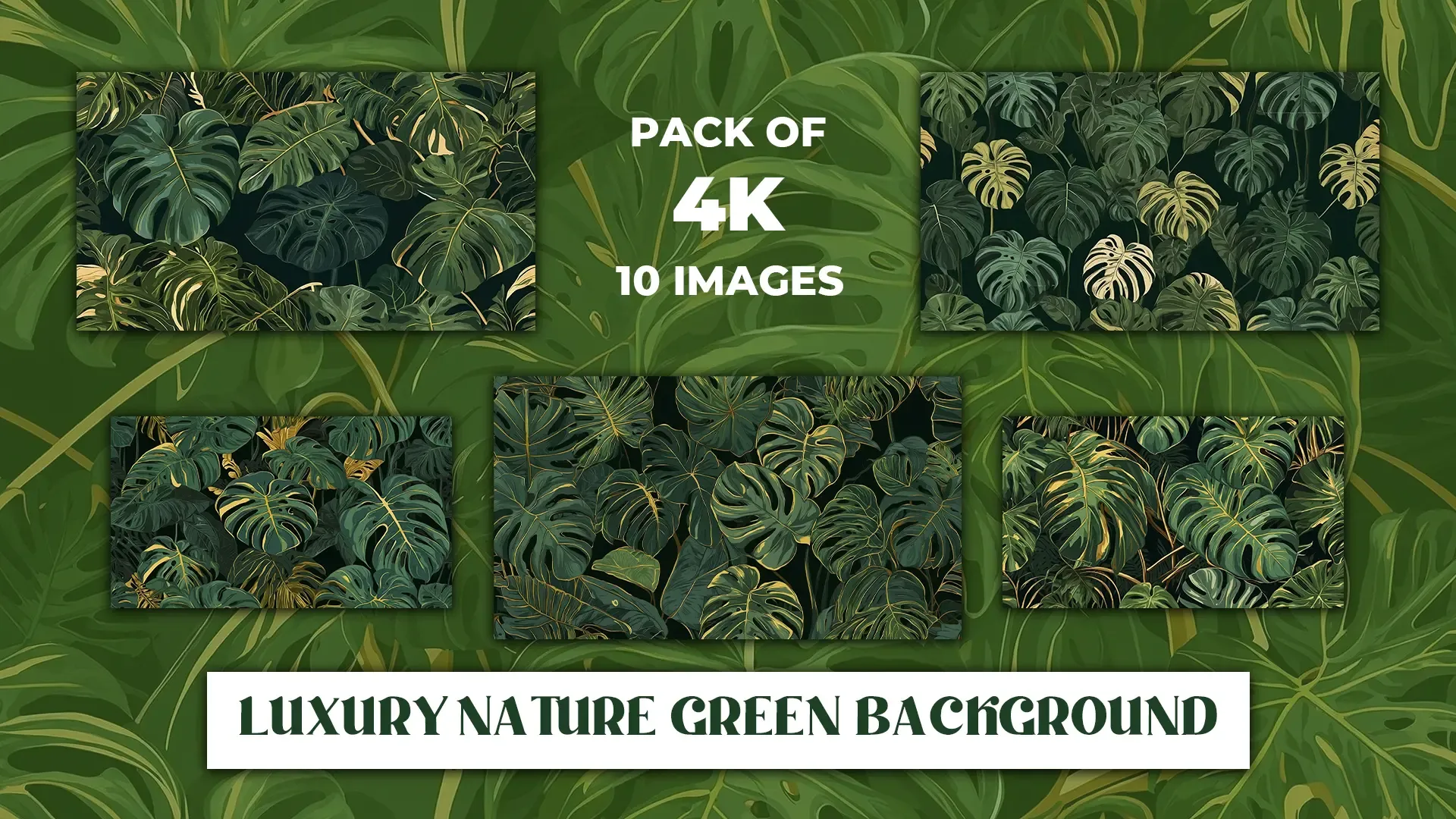 Luxury Nature Green Leaf Background Collection image